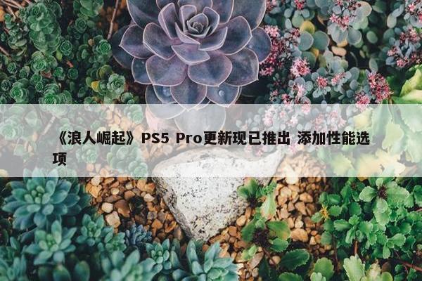 《浪人崛起》PS5 Pro更新现已推出 添加性能选项