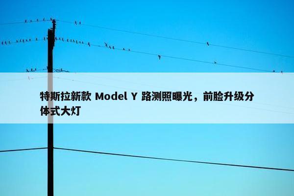 特斯拉新款 Model Y 路测照曝光，前脸升级分体式大灯