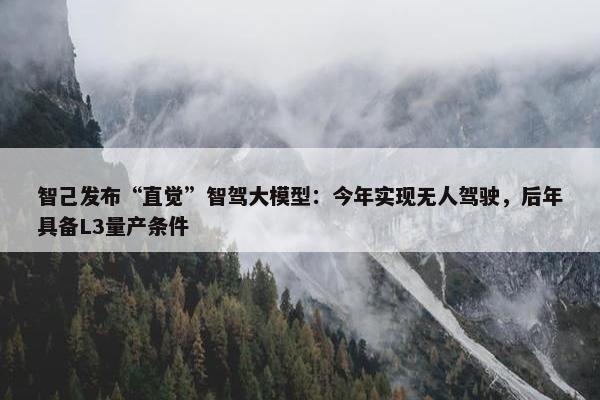 智己发布“直觉”智驾大模型：今年实现无人驾驶，后年具备L3量产条件