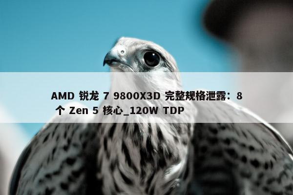 AMD 锐龙 7 9800X3D 完整规格泄露：8 个 Zen 5 核心_120W TDP