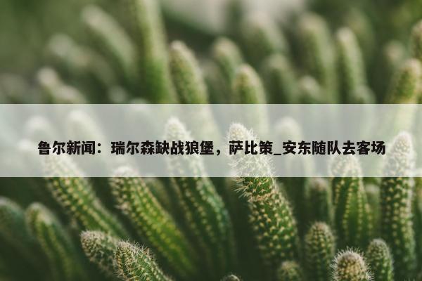 鲁尔新闻：瑞尔森缺战狼堡，萨比策_安东随队去客场