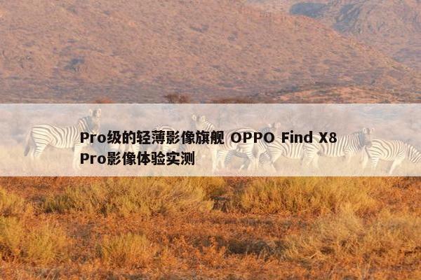 Pro级的轻薄影像旗舰 OPPO Find X8 Pro影像体验实测