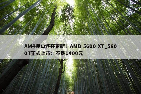 AM4接口还在更新！AMD 5600 XT_5600T正式上市：不足1400元