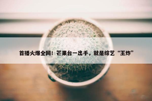 首播火爆全网！芒果台一出手，就是综艺“王炸”