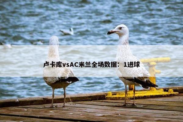 卢卡库vsAC米兰全场数据：1进球