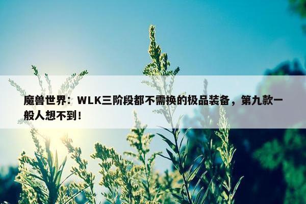 魔兽世界：WLK三阶段都不需换的极品装备，第九款一般人想不到！