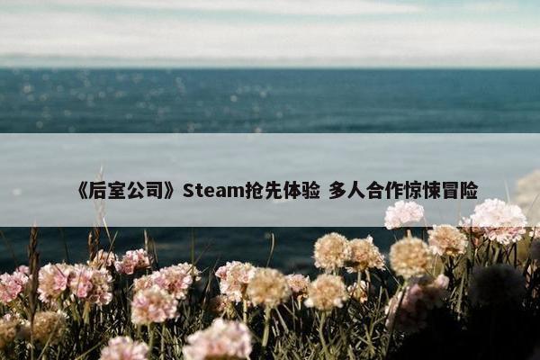 《后室公司》Steam抢先体验 多人合作惊悚冒险