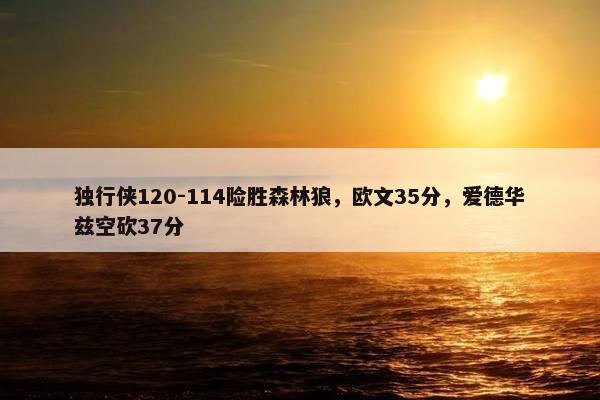 独行侠120-114险胜森林狼，欧文35分，爱德华兹空砍37分