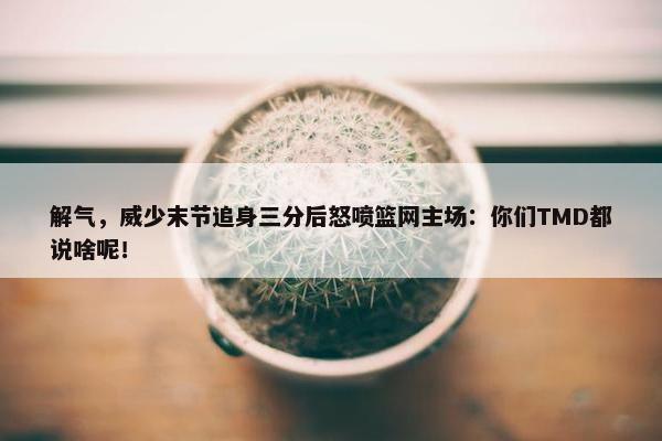 解气，威少末节追身三分后怒喷篮网主场：你们TMD都说啥呢！