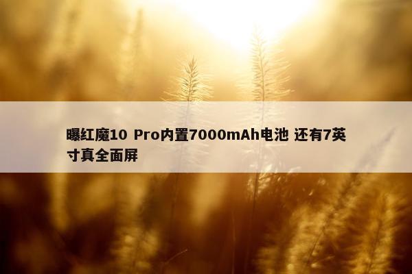 曝红魔10 Pro内置7000mAh电池 还有7英寸真全面屏