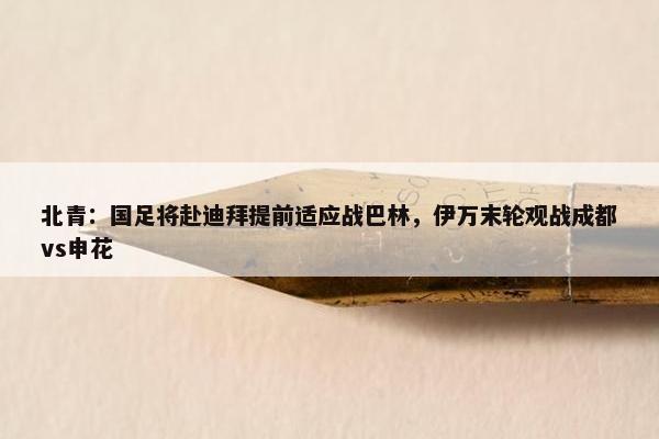 北青：国足将赴迪拜提前适应战巴林，伊万末轮观战成都vs申花