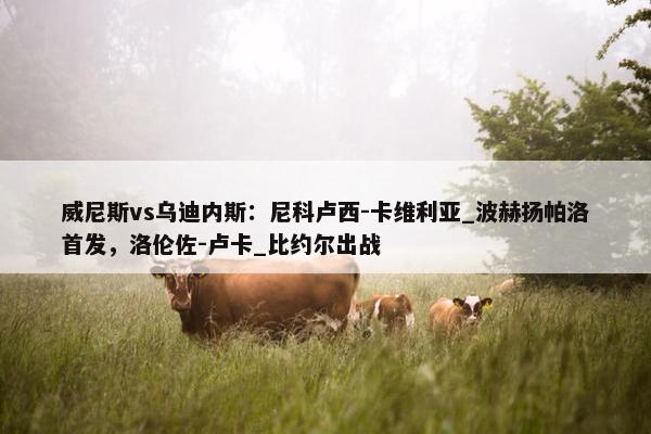 威尼斯vs乌迪内斯：尼科卢西-卡维利亚_波赫扬帕洛首发，洛伦佐-卢卡_比约尔出战