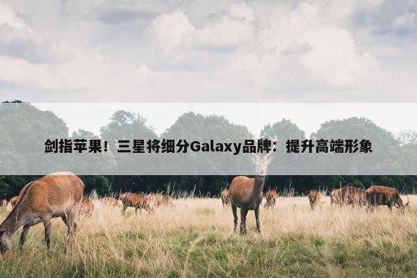 剑指苹果！三星将细分Galaxy品牌：提升高端形象