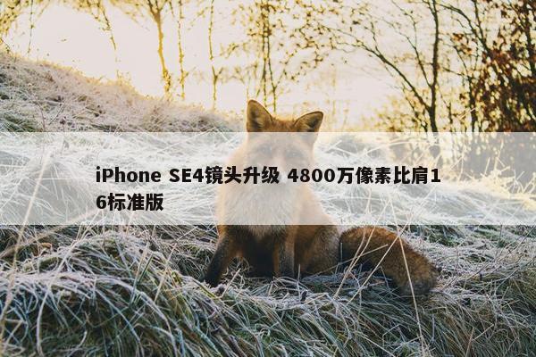 iPhone SE4镜头升级 4800万像素比肩16标准版