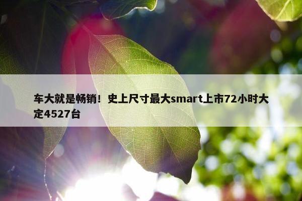 车大就是畅销！史上尺寸最大smart上市72小时大定4527台