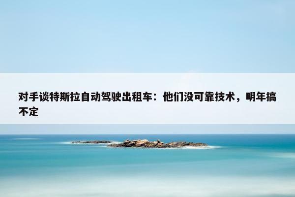 对手谈特斯拉自动驾驶出租车：他们没可靠技术，明年搞不定