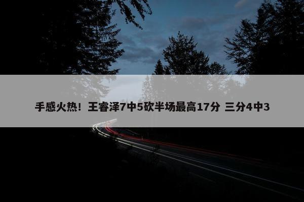 手感火热！王睿泽7中5砍半场最高17分 三分4中3