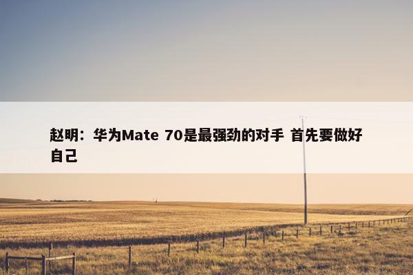 赵明：华为Mate 70是最强劲的对手 首先要做好自己