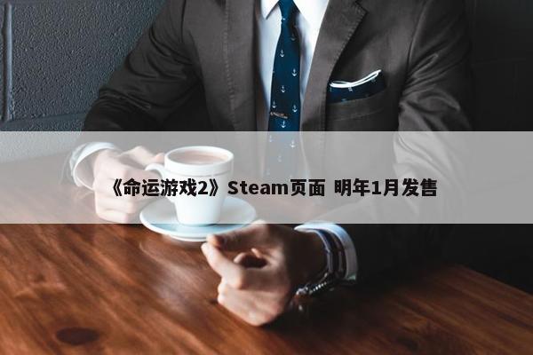 《命运游戏2》Steam页面 明年1月发售