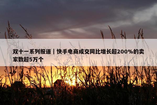 双十一系列报道｜快手电商成交同比增长超200%的卖家数超5万个