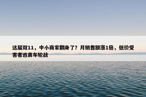 这届双11，中小商家翻身了？月销售额涨1倍，低价受害者逃离车轮战