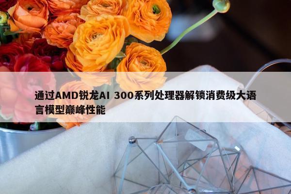 通过AMD锐龙AI 300系列处理器解锁消费级大语言模型巅峰性能