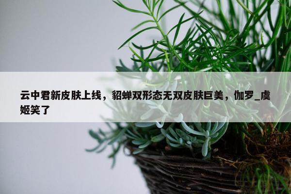 云中君新皮肤上线，貂蝉双形态无双皮肤巨美，伽罗_虞姬笑了