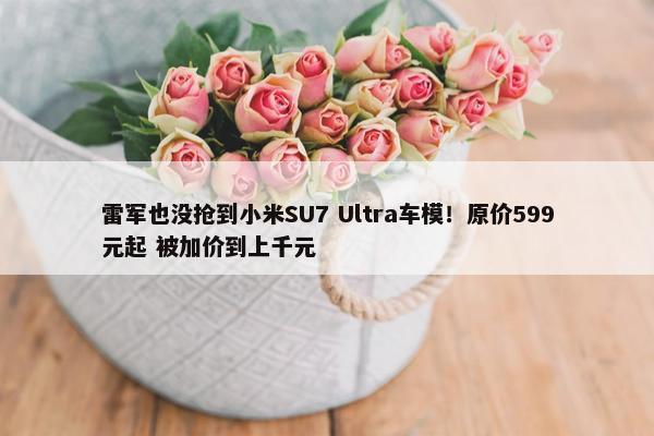 雷军也没抢到小米SU7 Ultra车模！原价599元起 被加价到上千元