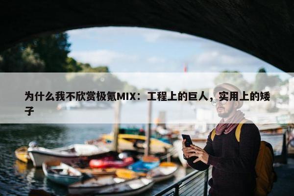 为什么我不欣赏极氪MIX：工程上的巨人，实用上的矮子