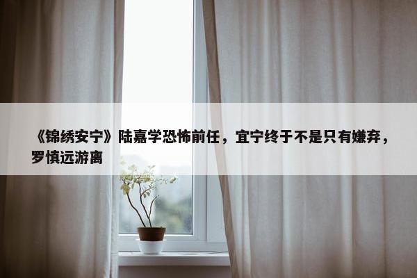 《锦绣安宁》陆嘉学恐怖前任，宜宁终于不是只有嫌弃，罗慎远游离