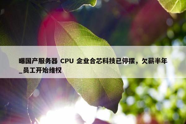 曝国产服务器 CPU 企业合芯科技已停摆，欠薪半年_员工开始维权