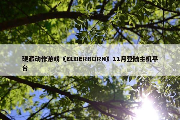 硬派动作游戏《ELDERBORN》11月登陆主机平台