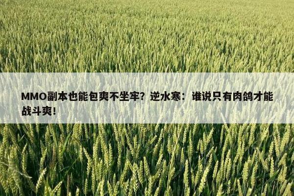 MMO副本也能包爽不坐牢？逆水寒：谁说只有肉鸽才能战斗爽！