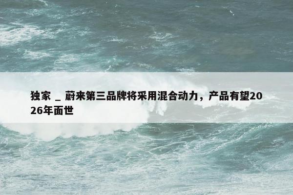 独家 _ 蔚来第三品牌将采用混合动力，产品有望2026年面世