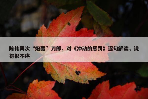 陈伟再次“炮轰”刀郎，对《冲动的惩罚》逐句解读，说得很不堪