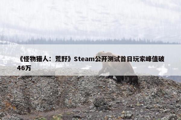 《怪物猎人：荒野》Steam公开测试首日玩家峰值破46万