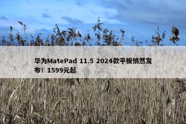 华为MatePad 11.5 2024款平板悄然发布！1599元起