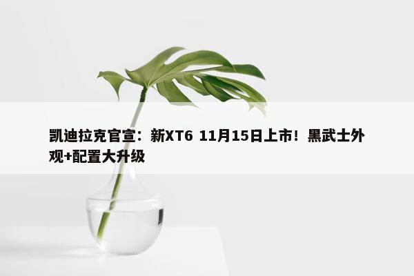 凯迪拉克官宣：新XT6 11月15日上市！黑武士外观+配置大升级