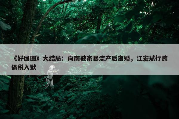 《好团圆》大结局：向南被家暴流产后离婚，江宏斌行贿偷税入狱