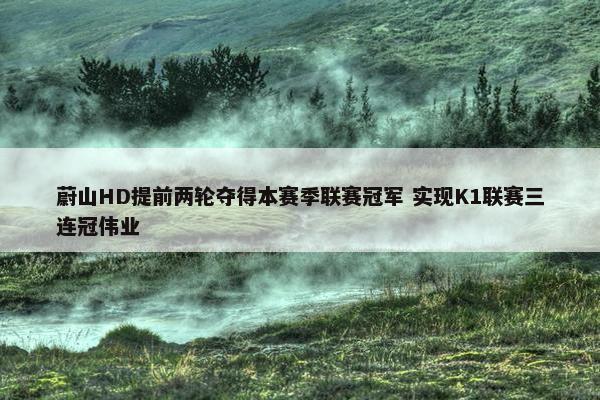 蔚山HD提前两轮夺得本赛季联赛冠军 实现K1联赛三连冠伟业