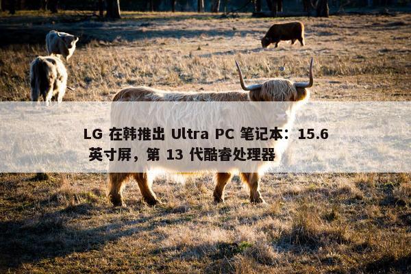 LG 在韩推出 Ultra PC 笔记本：15.6 英寸屏，第 13 代酷睿处理器