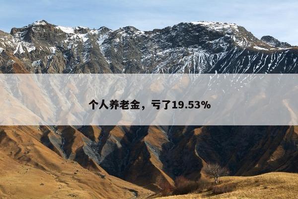 个人养老金，亏了19.53%