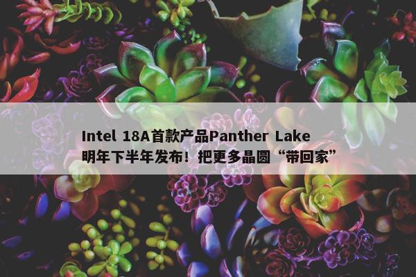 Intel 18A首款产品Panther Lake明年下半年发布！把更多晶圆“带回家”