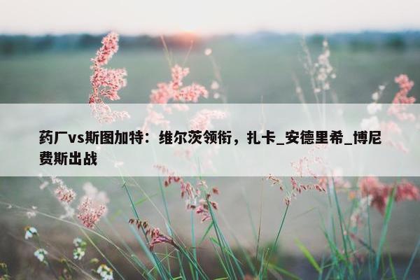 药厂vs斯图加特：维尔茨领衔，扎卡_安德里希_博尼费斯出战