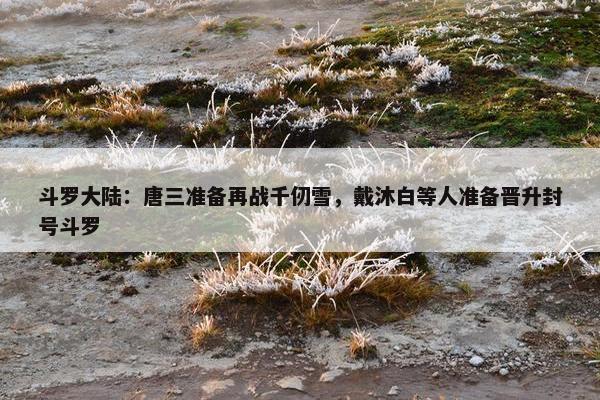 斗罗大陆：唐三准备再战千仞雪，戴沐白等人准备晋升封号斗罗