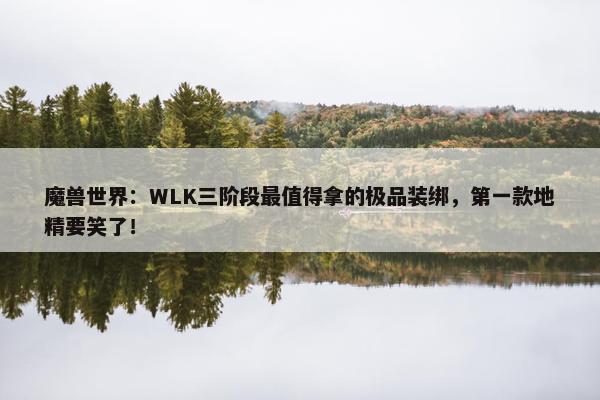 魔兽世界：WLK三阶段最值得拿的极品装绑，第一款地精要笑了！