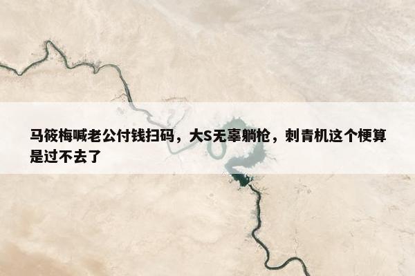 马筱梅喊老公付钱扫码，大S无辜躺枪，刺青机这个梗算是过不去了