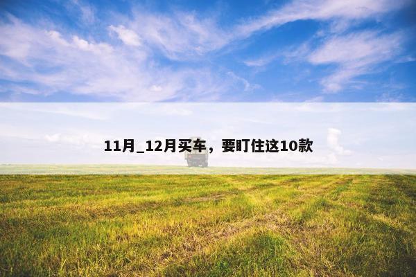 11月_12月买车，要盯住这10款