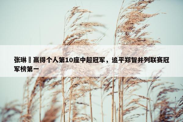 张琳芃赢得个人第10座中超冠军，追平郑智并列联赛冠军榜第一