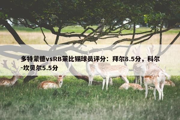 多特蒙德vsRB莱比锡球员评分：拜尔8.5分，科尔-坎贝尔5.5分